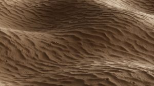 Aerial view of wind-sculpted sand dunes creating organic patterns in a golden desert landscape.