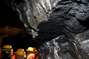 Coal layer