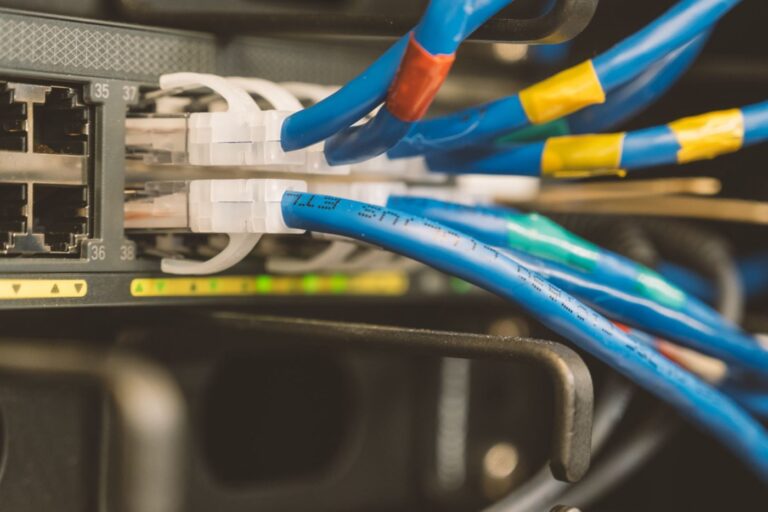 Avis et fiabilité de PebbleHost pour hébergement Minecraft